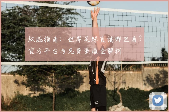 权威指南：世界足球直播哪里看？官方平台与免费渠道全解析