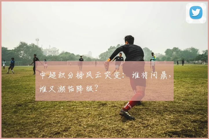 中超积分榜风云突变:谁将问鼎,谁又濒临降级?